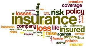Disclosure for Insurance contracts
