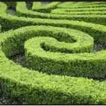 Natural disasters - Hedge accounting