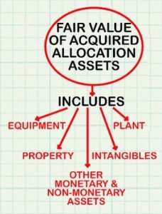 IFRS 3 Identify a business