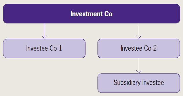 Accounting by investment entities