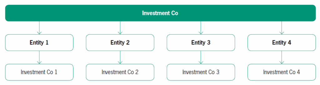 1. Introduction to Investment entities