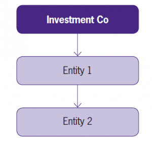Accounting by investment entities