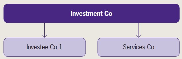 Accounting by investment entities