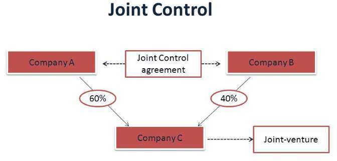 what exactly is a joint venture