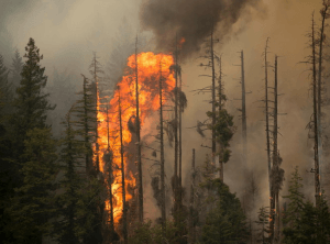 Natural disasters Financial statement disclosure