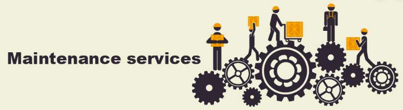 Revenue from maintenance services