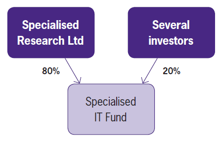 Assessment of investment entities
