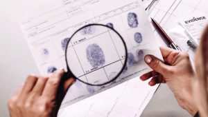 The Main Statements of Financial Statements