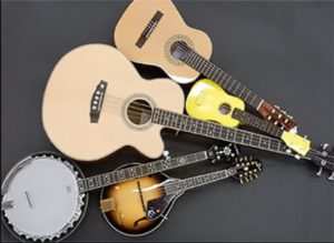 The practical expedient not to use Level 1 inputs