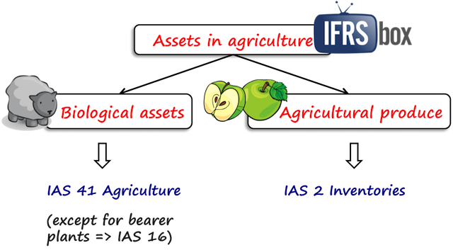 ias41biologicalassetsproduce