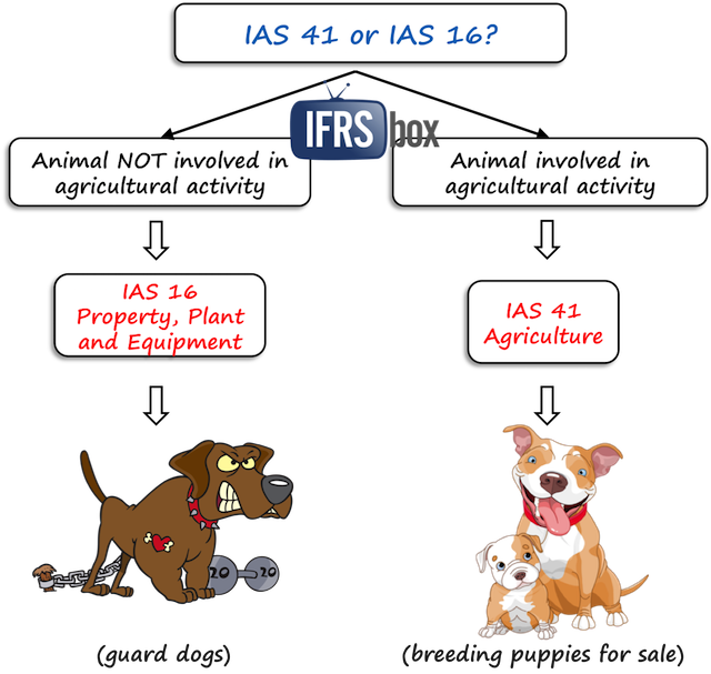 ias41ias16