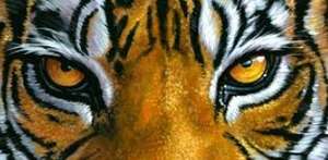 IFRS 7 Comprehensive Risk disclosures