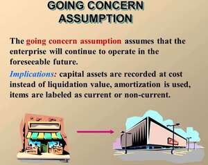 Going concern assumption Going concern assumption