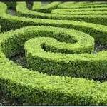 Natural disasters - Hedge accounting Natural disasters - Hedge accounting