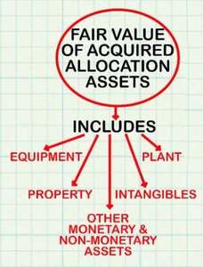 IFRS vs US GAAP Business combinations Identify a business 228x300 - IFRS vs US GAAP Business combinations