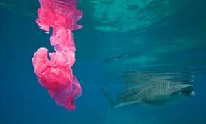 IAS 37 Launch your Climate Risk Reporting Ocean plastic polution 1 300x181 - IAS 37 Launch your Climate Risk Reporting