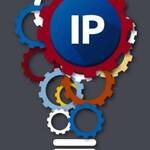 Royalty income intellectual property Royalty income intellectual property