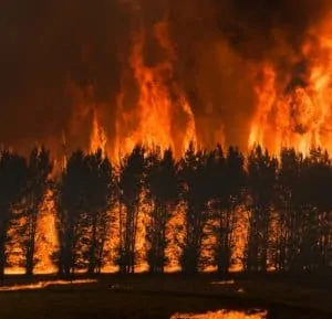 Bushfires Australia 1