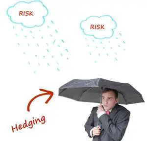 1 Best Application of Hedge of forecast FX purchases 1 Hedge of forecast foreign currency purchases