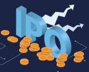 What is initial public offering