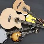 similar goods or services