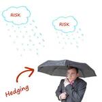 Designated hedged items