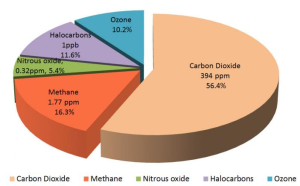Standard 9 Reporting GHG Emissions - A Complete Comprehesive Help 1 Reporting GHG Emissions