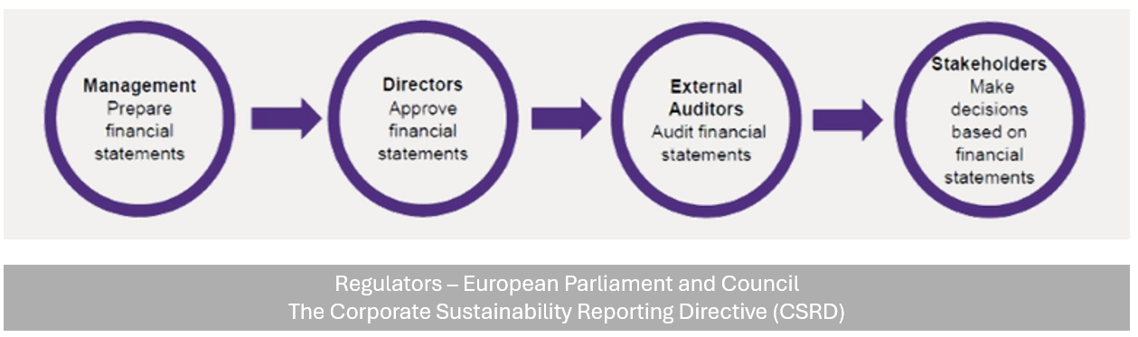 Getting started with your Best Sustainability reporting Project 1 Sustainability reporting