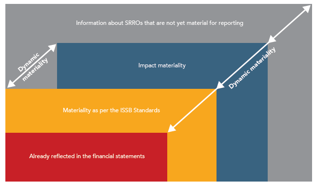 Getting started with your Best Sustainability reporting Project 6 Sustainability reporting