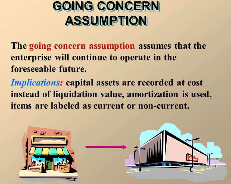 Going concern governance